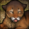 [Jaglion] Tongue Out